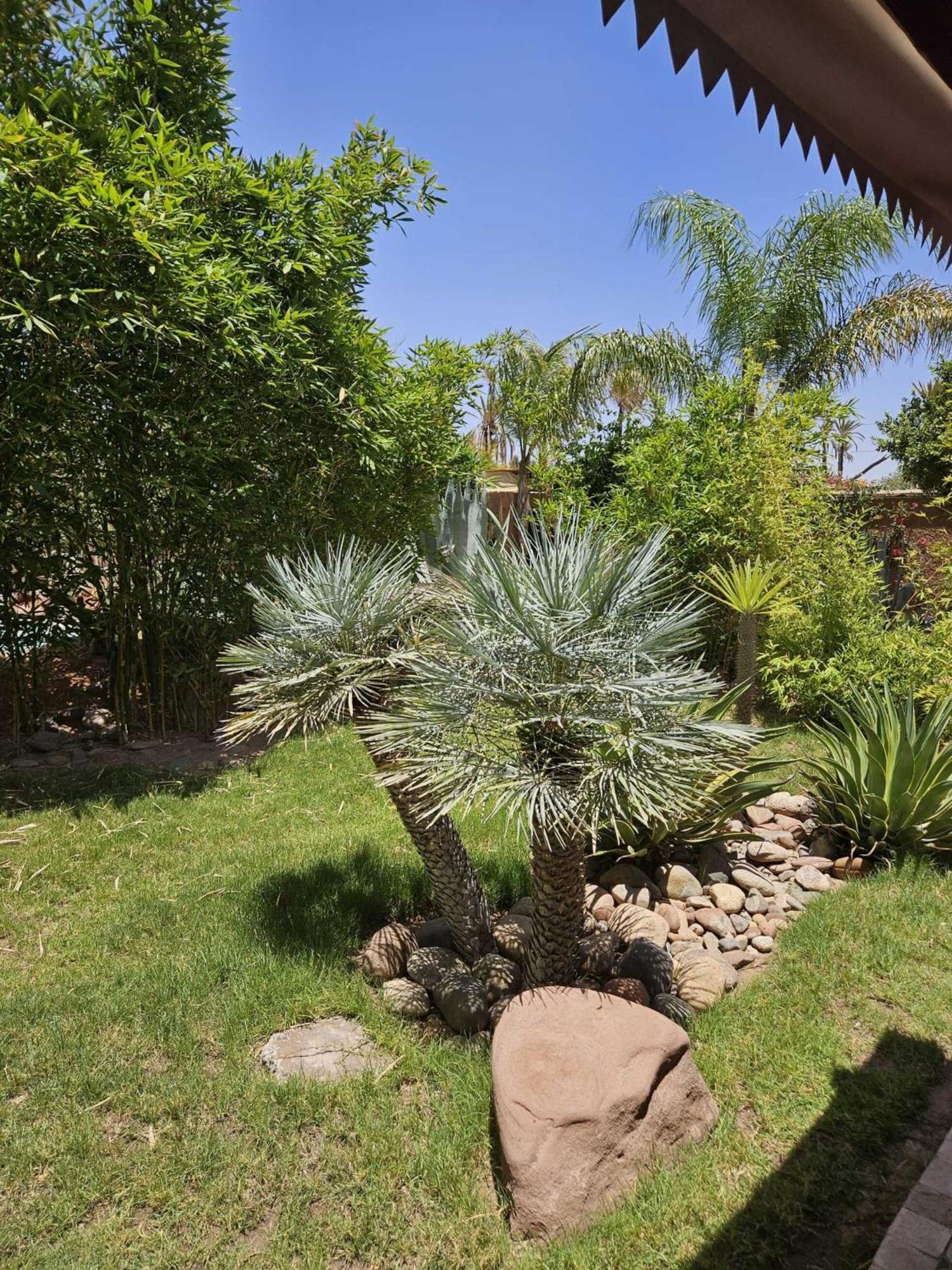 Eden Lodges & Spa Douar Caid Layadi Exterior photo